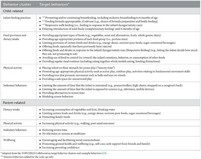 Mapping intervention components from a randomized controlled trial to scale-up of an early life nutrition and movement intervention: The INFANT program